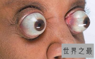 最奇葩的吉尼斯世界纪录  只有你想不到！