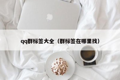 ​qq群标签大全（群标签在哪里找）