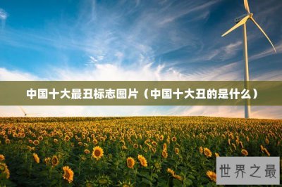 ​中国十大最丑标志图片（中国十大丑的是什么）