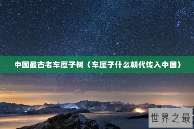 ​中国最古老车厘子树（车厘子什么朝代传入中国）
