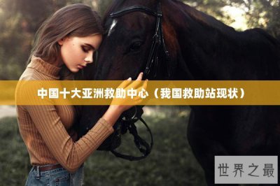 ​中国十大亚洲救助中心（我国救助站现状）