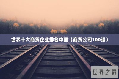 ​世界十大商贸企业排名中国（商贸公司100强）