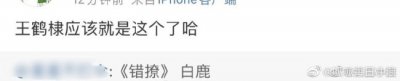 ​网传错撩主演确定白鹿王鹤棣 戏精记者➕冷面霸总