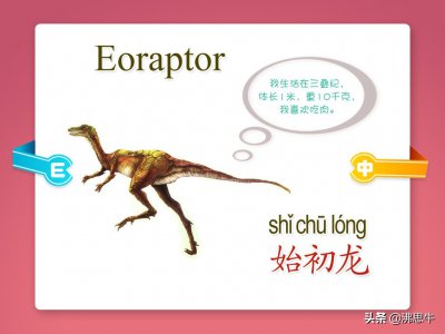 ​恐龙有多少种类（恐龙有多少种类及图片）