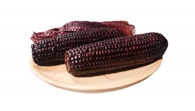 ​紫玉米跟白玉米有什么区别 紫色玉米和白色玉米