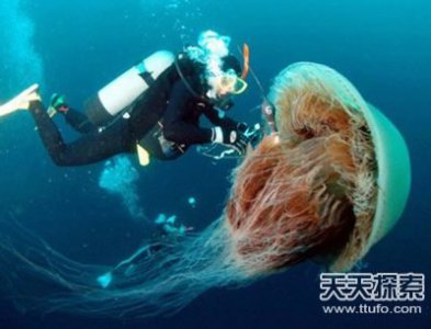 ​世界上最致命杀手 遇到了请绕开！
