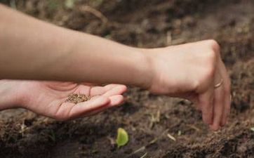 2023年3月几号扫墓好 2023年3月份哪天扫墓好