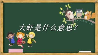 大虾是什么意思？
