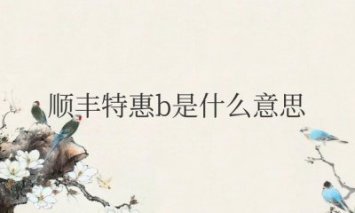 ​顺丰特惠b是什么意思（顺丰特惠b与c的区别）