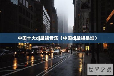​中国十大dj鼻祖音乐（中国dj鼻祖是谁）
