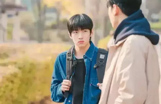 2022有什么好看的韩剧 2022年最新十大韩剧推荐
