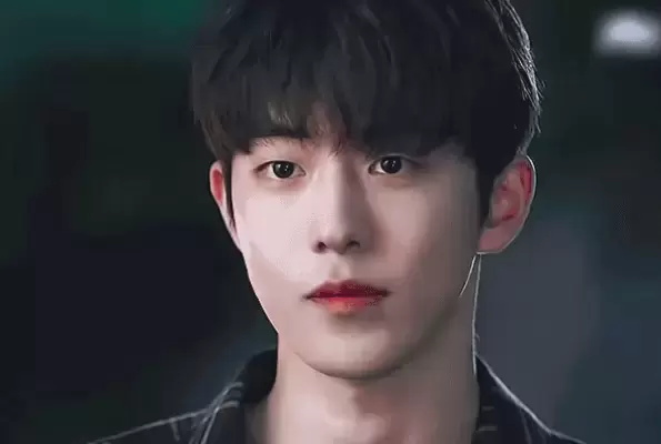 2022有什么好看的韩剧 2022年最新十大韩剧推荐