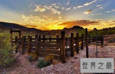 ​世界十大最美春色，春之女神经常光顾这些地方