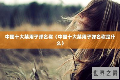 ​中国十大禁用子弹名称（中国十大禁用子弹名称是什么）