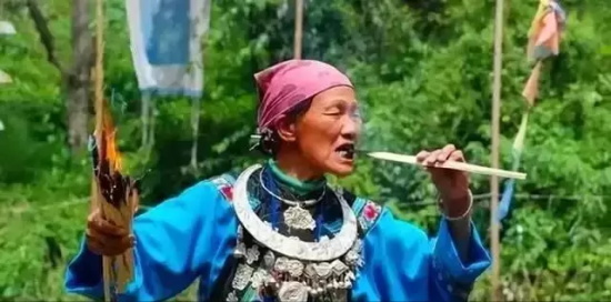 下蛊是什么意思网络用语？苗疆蛊毒之术真的存在吗