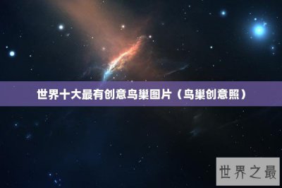 ​世界十大最有创意鸟巢图片（鸟巢创意照）