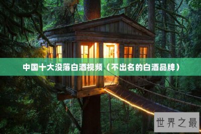 ​中国十大没落白酒视频（不出名的白酒品牌）
