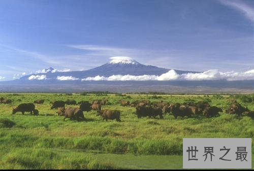 世界上最大的高原，500多万平方千米的巴西高原世界最大