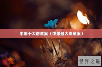 ​中国十大虏童案（中国最大虐童案）