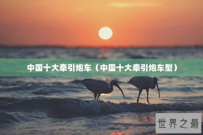 ​中国十大牵引炮车（中国十大牵引炮车型）