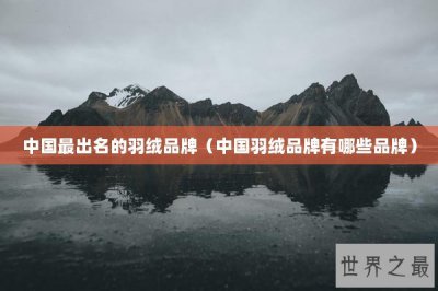 ​中国最出名的羽绒品牌（中国羽绒品牌有哪些品牌）