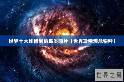 ​世界十大珍稀濒危鸟类图片（世界珍稀濒危物种）