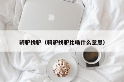 ​骑驴找驴（骑驴找驴比喻什么意思）