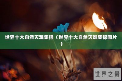 ​世界十大自然灾难集锦（世界十大自然灾难集锦图片）