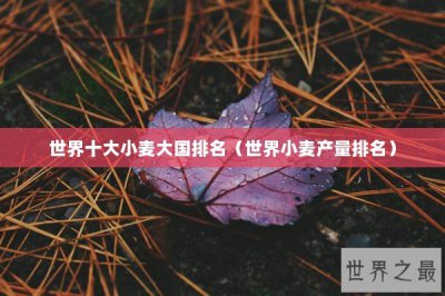 ​世界十大小麦大国排名（世界小麦产量排名）