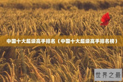 ​中国十大超级高手排名（中国十大超级高手排名榜）