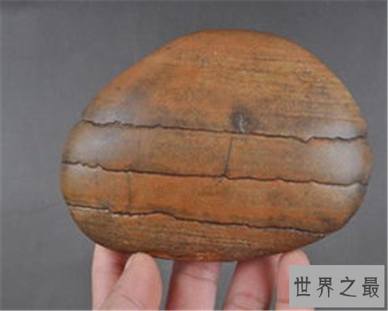 中国四大奇石，东坡肉形石真的像一块肉