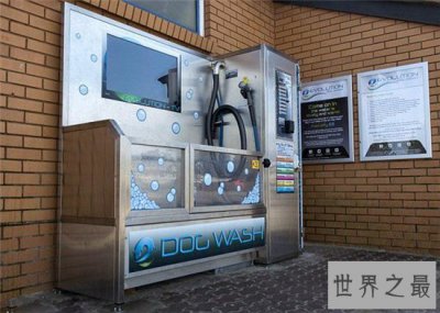 ​自动洗狗机省去饲养人的麻烦，还比宠物店消费更便宜