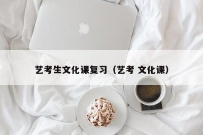​艺考生文化课复习（艺考 文化课）
