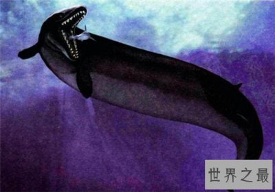 ​古蜥鲸如今已经灭绝，生活在五千万年前的生物