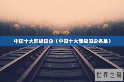 ​中国十大部级国企（中国十大部级国企名单）
