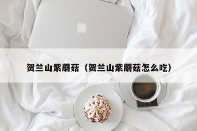 ​贺兰山紫蘑菇（贺兰山紫蘑菇怎么吃）