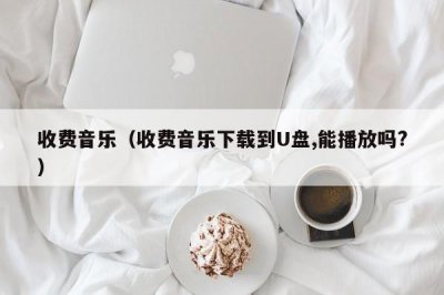 ​收费音乐（收费音乐下载到U盘,能播放吗?）