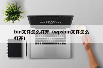 ​bin文件怎么打开（wpsbin文件怎么打开）