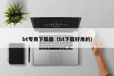 ​bt专用下载器（bt下载好用的）