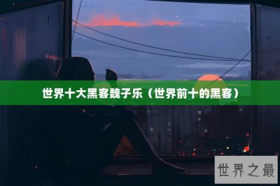 ​世界十大黑客魏子乐（世界前十的黑客）