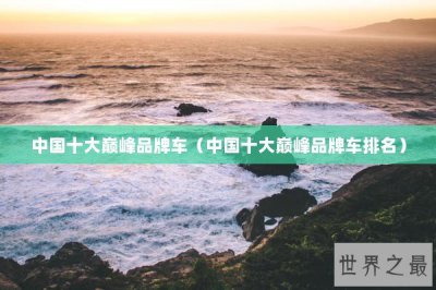 ​中国十大巅峰品牌车（中国十大巅峰品牌车排名）