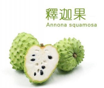 ​盘点世界上最甜的十大水果，台湾释迦果很甜不要贪吃