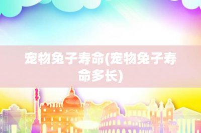 ​宠物兔子寿命(宠物兔子寿命多长)