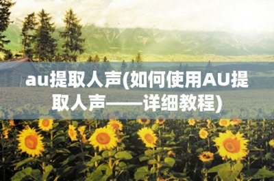 ​au提取人声(如何使用AU提取人声——详细教程)