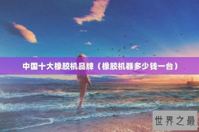​中国十大橡胶机品牌（橡胶机器多少钱一台）