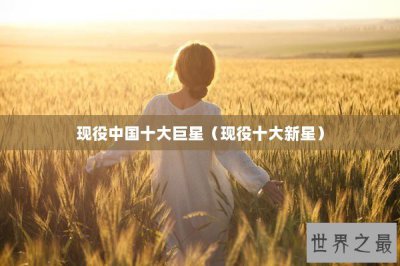 ​现役中国十大巨星（现役十大新星）