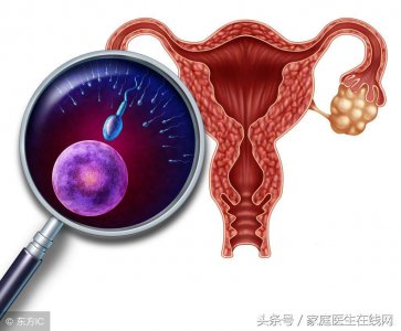 ​输卵管堵塞会有排卵吗 输卵管堵塞的情况下会有排卵吗