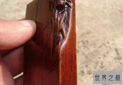 ​世界最硬的木头，可以抵挡住一般的子弹