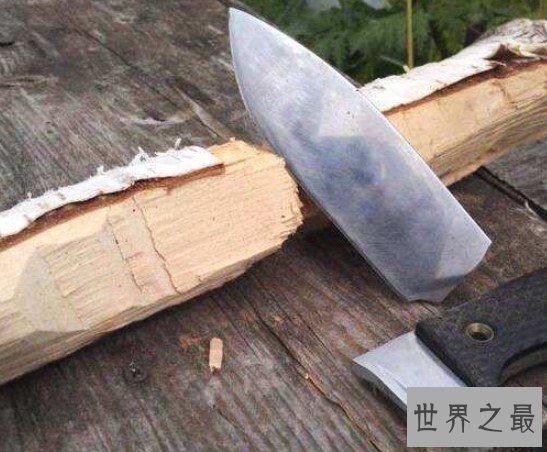 世界最硬的木头，可以抵挡住一般的子弹