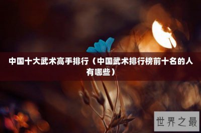 ​中国十大武术高手排行（中国武术排行榜前十名的人有哪些）